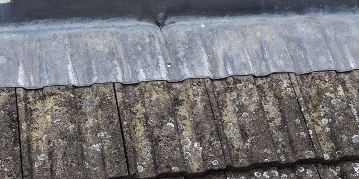 Alresford Chalet Bungalow Roof Restoration Case Study