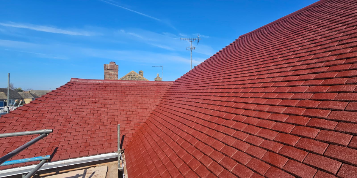 Roof Cleaning vs Roof Restoration: The Difference Is Night and Day