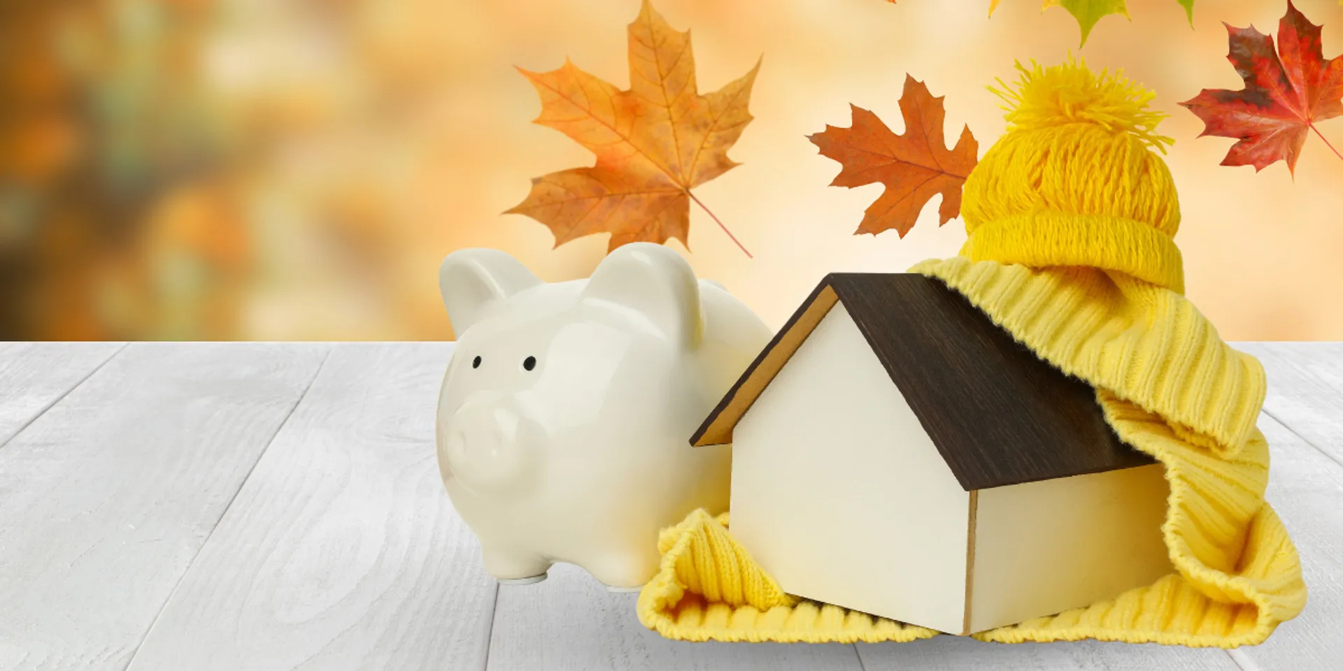 Get a Free No Obligation Quote