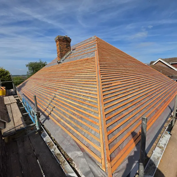 Project image 10