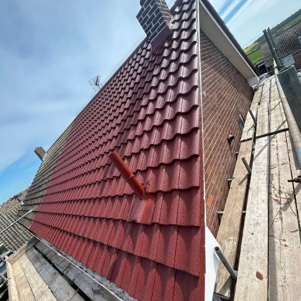 Project image 6