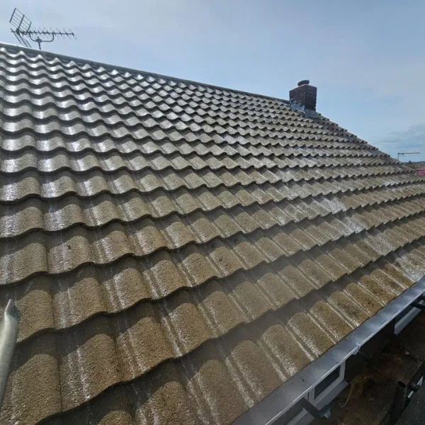 Project image 8