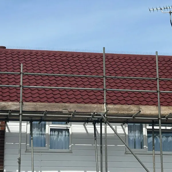 Project image 9