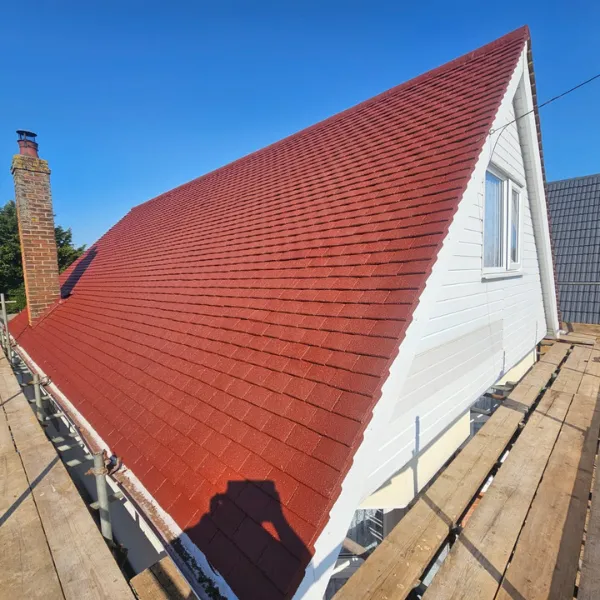 Project image 11